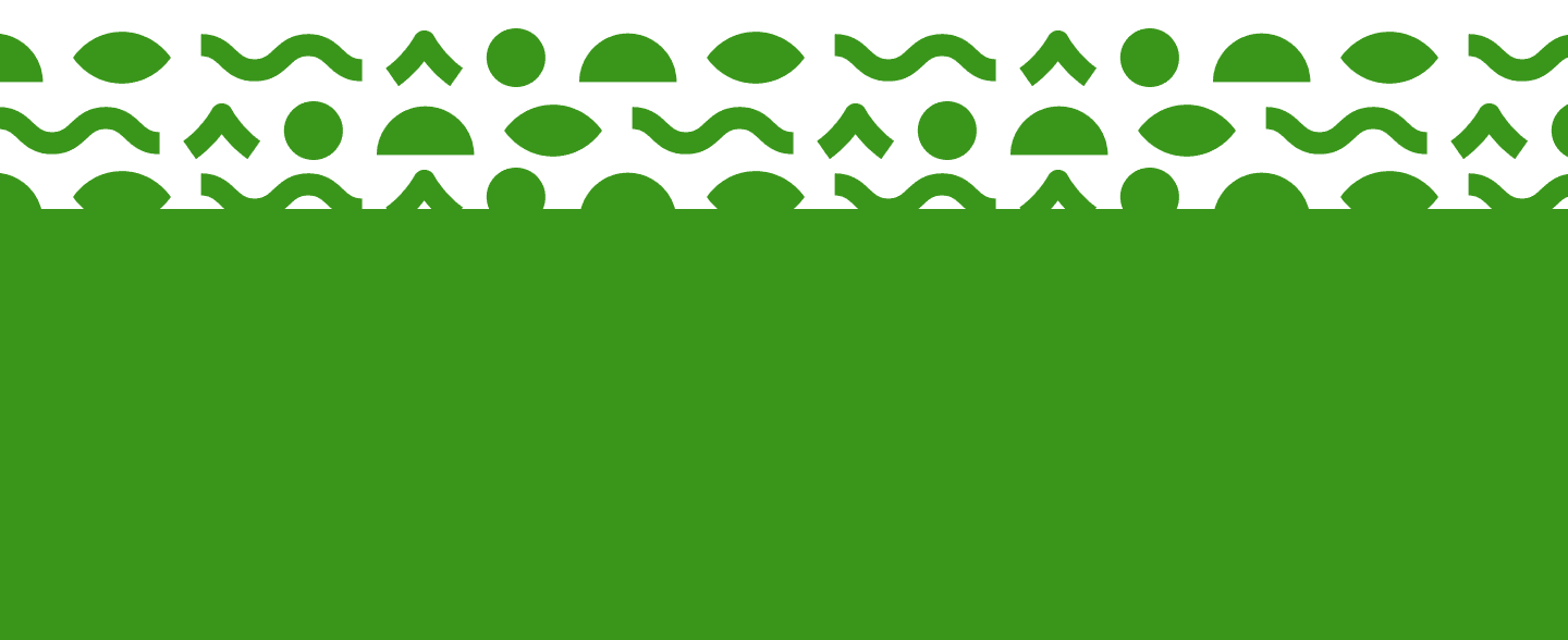 Footer Image