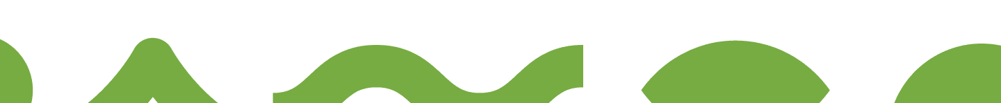 Footer Image